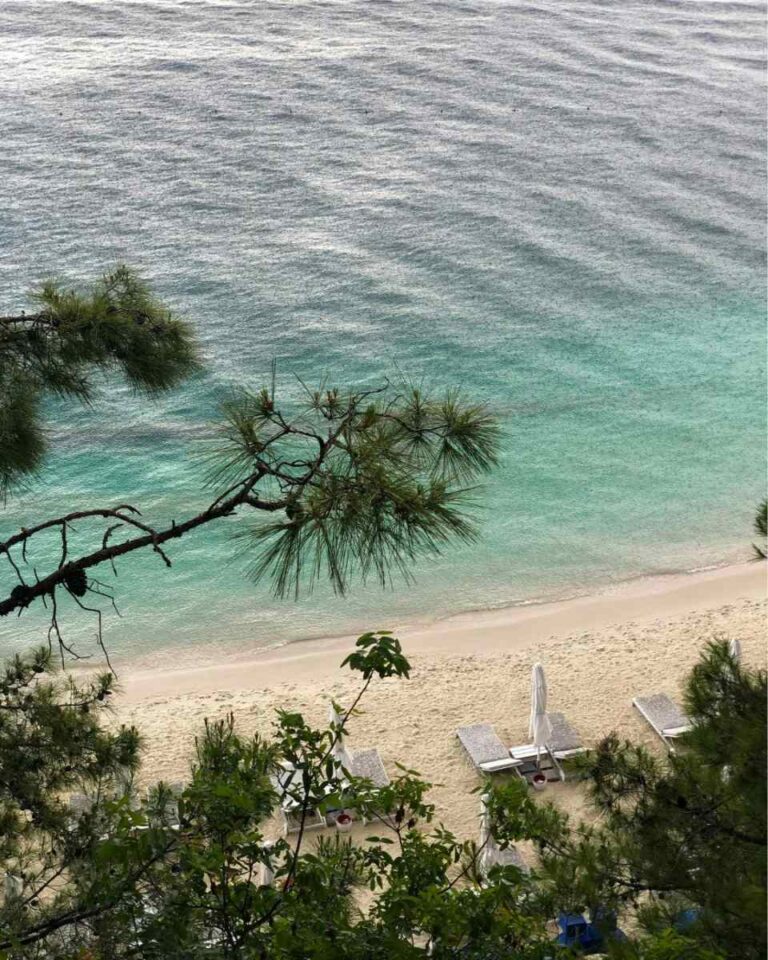 חופשת שייט במפרץ גוצ׳ק