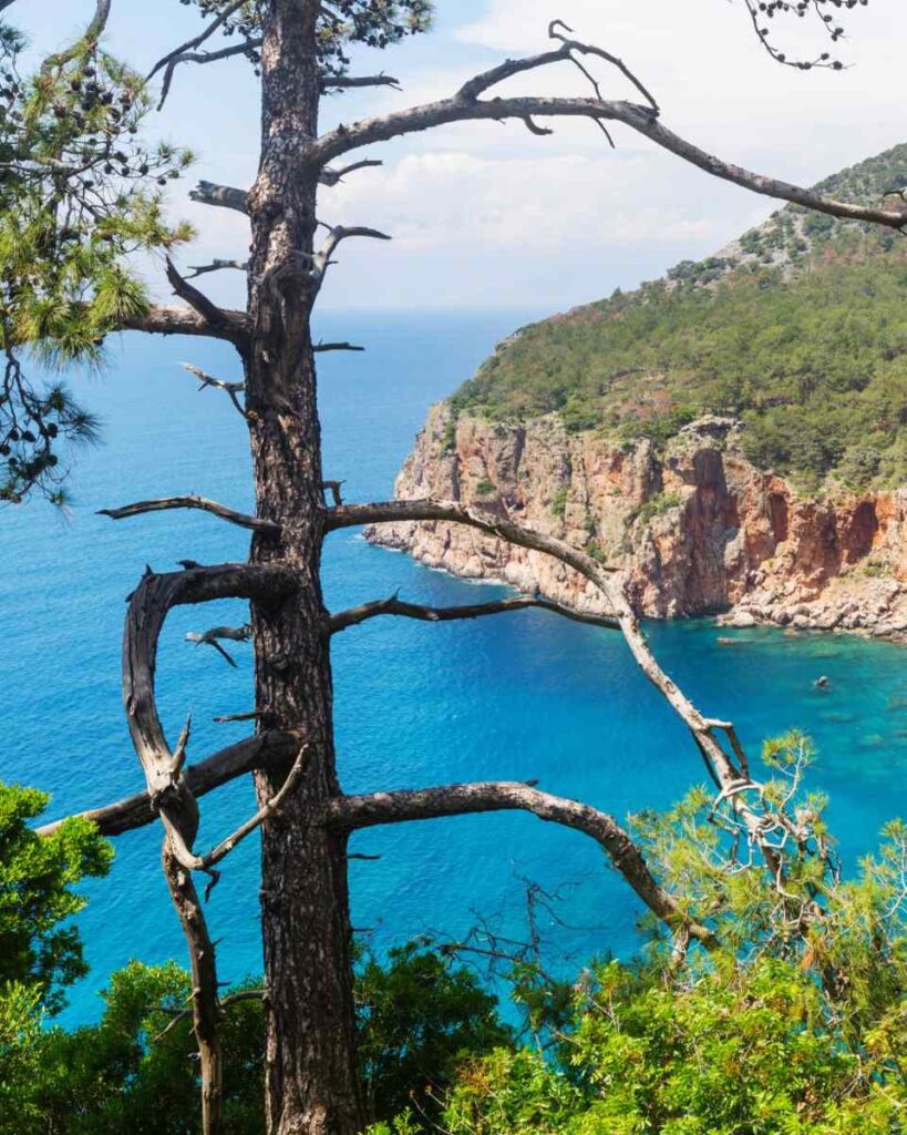 חופשת שייט באורחניה