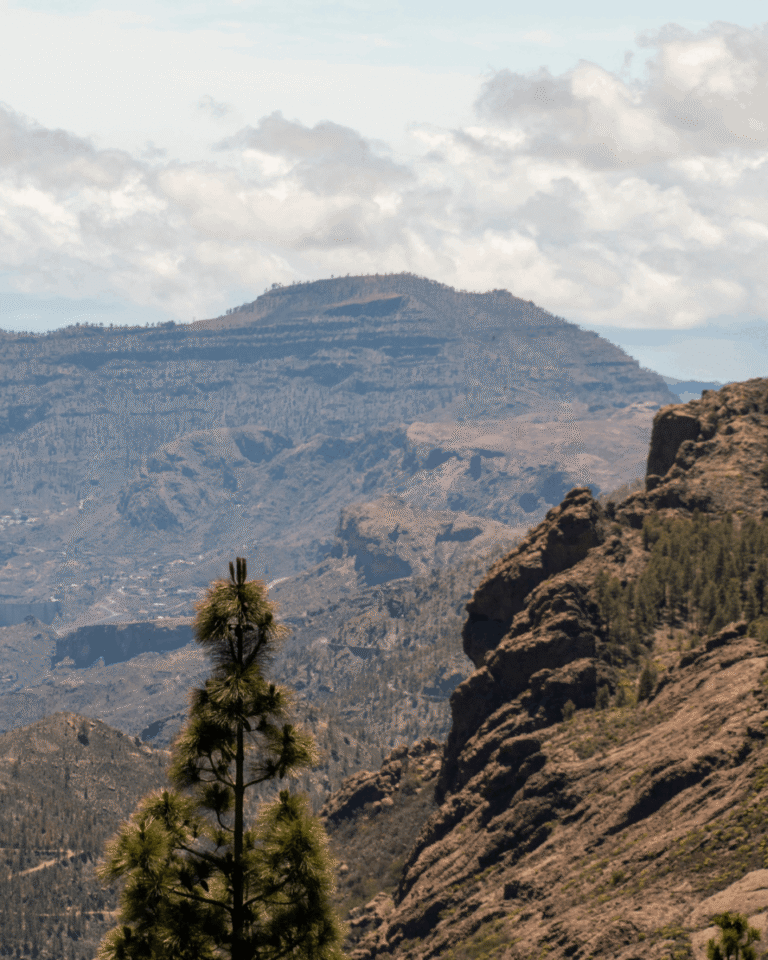 חופשת שייט באיים הקנריים