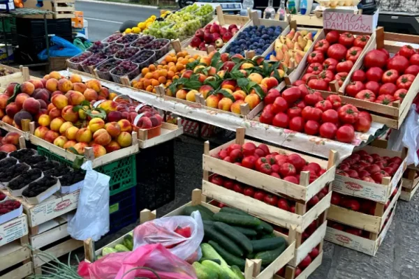 SYB family Sailing Montenegro 2023